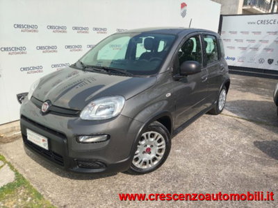 Fiat Panda 1.0 firefly hybrid s&s 70cv 5p.ti (2)