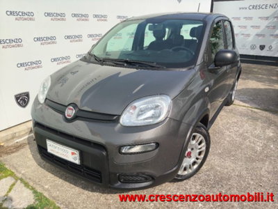 Fiat Panda 1.0 firefly hybrid s&s 70cv 5p.ti (3)