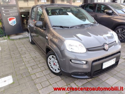 Fiat Panda 1.0 firefly hybrid s&s 70cv 5p.ti (4)
