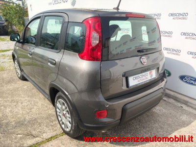 Fiat Panda 1.0 firefly hybrid s&s 70cv 5p.ti (7)