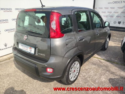 Fiat Panda 1.0 firefly hybrid s&s 70cv 5p.ti (8)