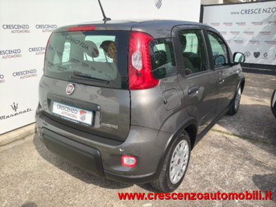 Fiat Panda 1.0 firefly hybrid s&s 70cv 5p.ti (9)