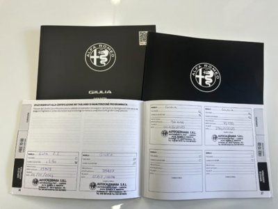 Alfa Romeo Giulia 2.2 Turbodiesel 210 CV AT8 AWD Q4 Estrema (17)