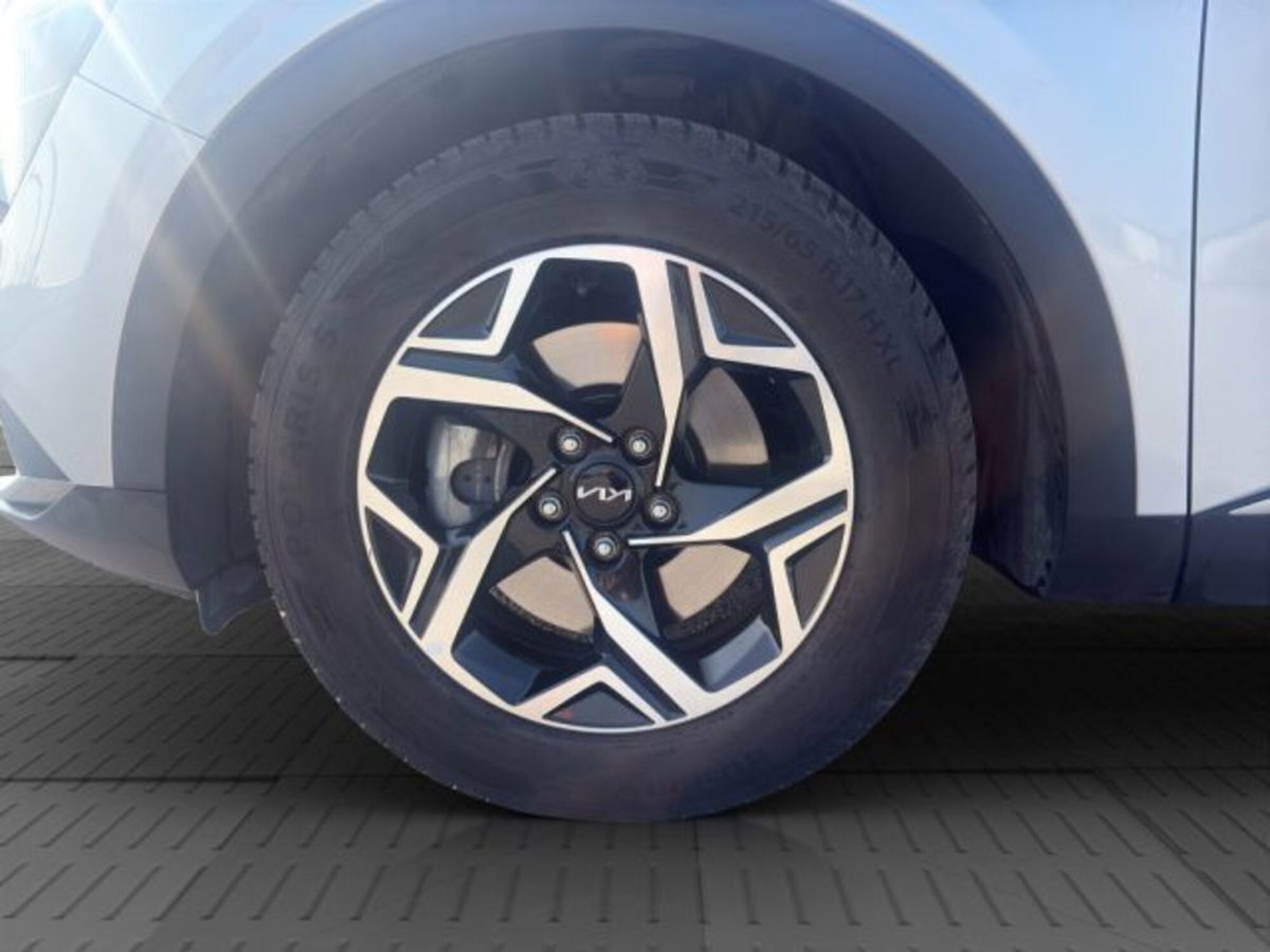 Kia Sportage 1.6 crdi mhev Business dct (15)
