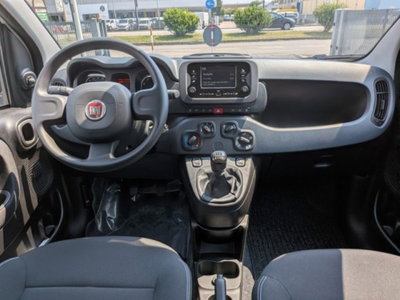 Fiat Panda 1.0 firefly hybrid s&s 70cv 5p.ti (2)