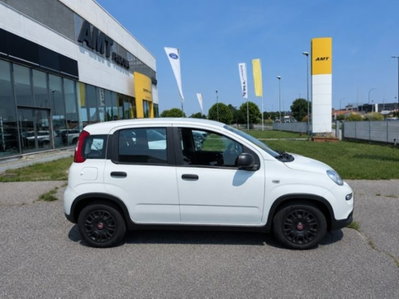 Fiat Panda 1.0 firefly hybrid s&s 70cv 5p.ti (3)