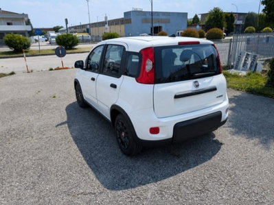 Fiat Panda 1.0 firefly hybrid s&s 70cv 5p.ti (4)