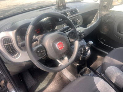Fiat Panda 1.0 firefly hybrid s&s 70cv 5p.ti (4)