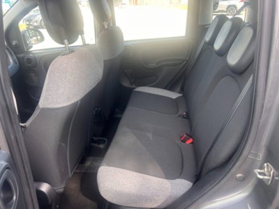 Fiat Panda 1.0 firefly hybrid s&s 70cv 5p.ti (6)
