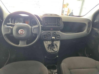 Fiat Panda 1.0 firefly hybrid s&s 70cv 5p.ti (12)