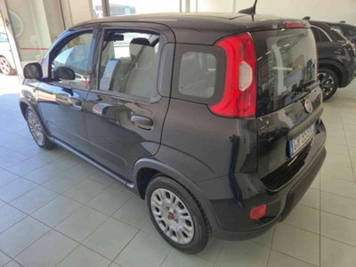 Fiat Panda 1.0 firefly hybrid s&s 70cv 5p.ti (14)