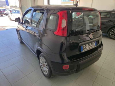Fiat Panda 1.0 firefly hybrid s&s 70cv 5p.ti (15)