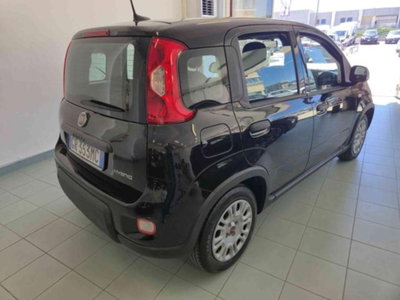 Fiat Panda 1.0 firefly hybrid s&s 70cv 5p.ti (18)