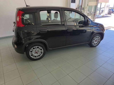 Fiat Panda 1.0 firefly hybrid s&s 70cv 5p.ti (19)