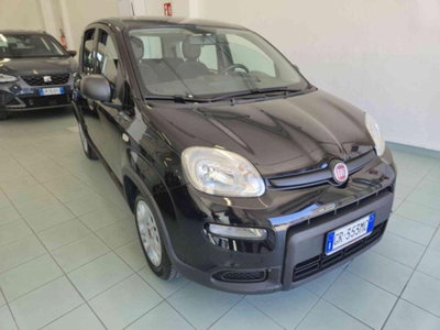 Fiat Panda 1.0 firefly hybrid s&s 70cv 5p.ti (2)