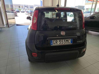 Fiat Panda 1.0 firefly hybrid s&s 70cv 5p.ti (20)