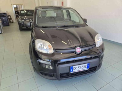 Fiat Panda 1.0 firefly hybrid s&s 70cv 5p.ti (3)