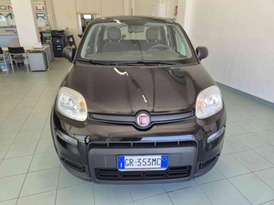 Fiat Panda 1.0 firefly hybrid s&s 70cv 5p.ti (4)