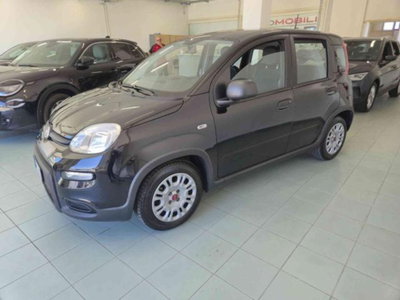 Fiat Panda 1.0 firefly hybrid s&s 70cv 5p.ti (6)
