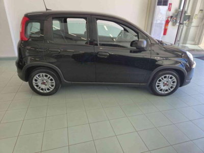 Fiat Panda 1.0 firefly hybrid s&s 70cv 5p.ti (7)