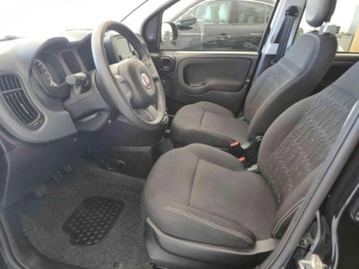 Fiat Panda 1.0 firefly hybrid s&s 70cv 5p.ti (8)