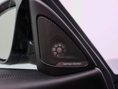BMW Serie 4 Coupé M4 (19)