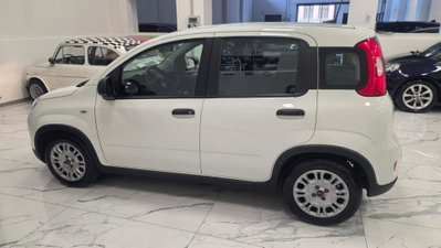 Fiat Panda 1.0 firefly hybrid Pop s&s 70cv (10)