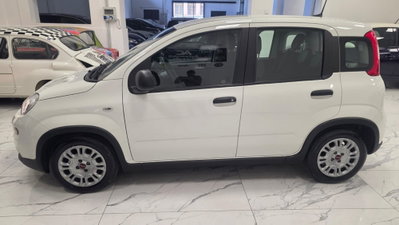 Fiat Panda 1.0 firefly hybrid Pop s&s 70cv (11)