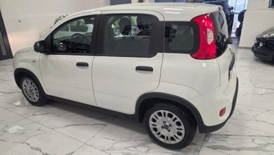 Fiat Panda 1.0 firefly hybrid Pop s&s 70cv (12)