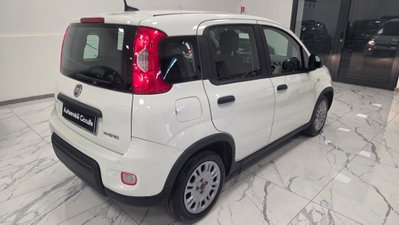 Fiat Panda 1.0 firefly hybrid Pop s&s 70cv (2)