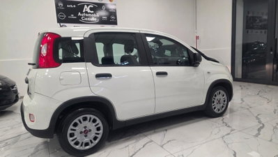 Fiat Panda 1.0 firefly hybrid Pop s&s 70cv (3)