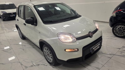Fiat Panda 1.0 firefly hybrid Pop s&s 70cv (4)