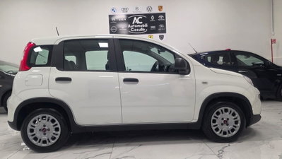 Fiat Panda 1.0 firefly hybrid Pop s&s 70cv (5)