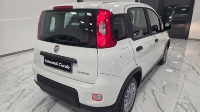 Fiat Panda 1.0 firefly hybrid Pop s&s 70cv (6)