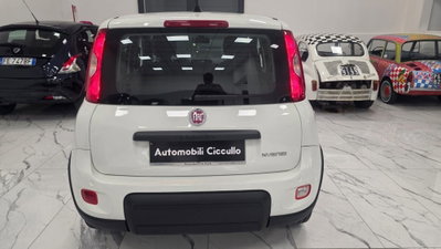 Fiat Panda 1.0 firefly hybrid Pop s&s 70cv (7)