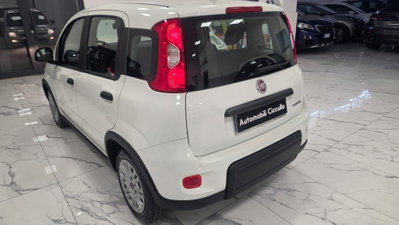 Fiat Panda 1.0 firefly hybrid Pop s&s 70cv (8)