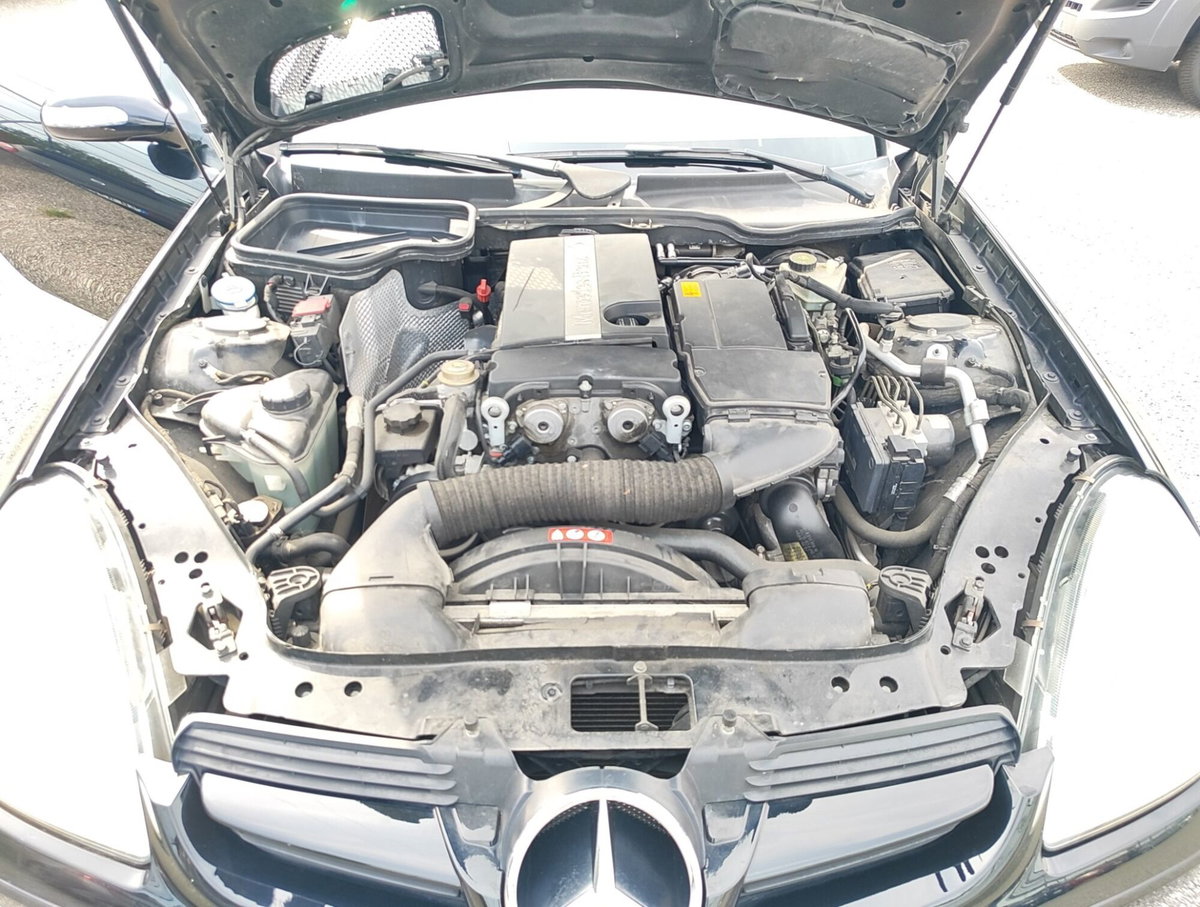 Mercedes-Benz SLK 200 Kompressor cat (15)