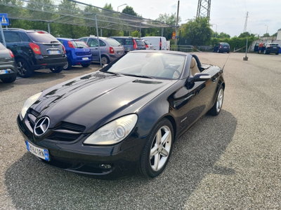 Mercedes-Benz SLK 200 Kompressor cat (5)
