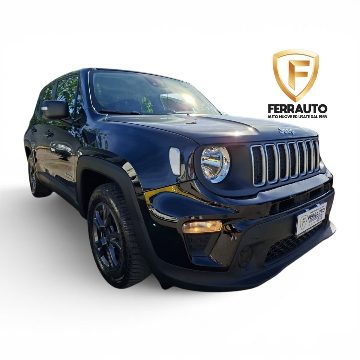 Jeep Renegade 1.6 mjt Longitude 2wd 130cv