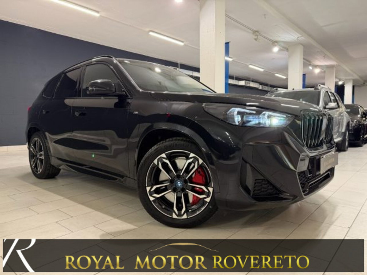 BMW X1 xdrive 25e MSport Pro auto (3)