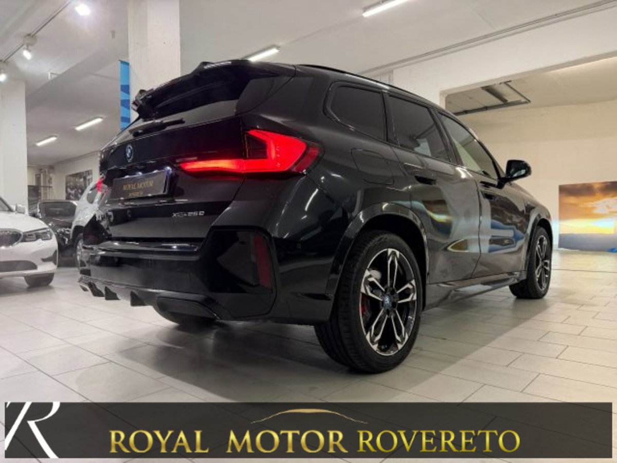BMW X1 xdrive 25e MSport Pro auto (7)