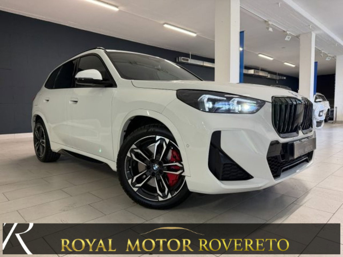 BMW X1 xdrive 25e MSport Pro auto (3)