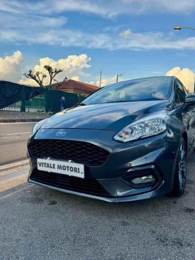 Ford Fiesta 1.0 Ecoboost 125 CV 5 porte Vignale (4)