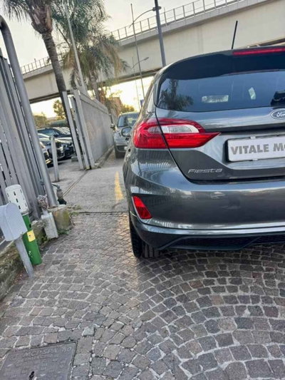 Ford Fiesta 1.0 Ecoboost 125 CV 5 porte Vignale (9)