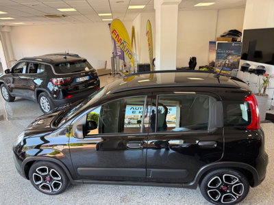 Fiat Panda 1.0 FireFly S&S Hybrid City Life (2)