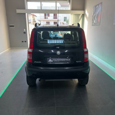 Fiat Panda 1.2 Active Natural Power (5)