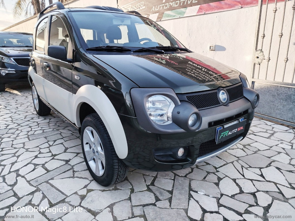 Fiat Panda 1.3 MJT 16V 4x4 Monster (4)
