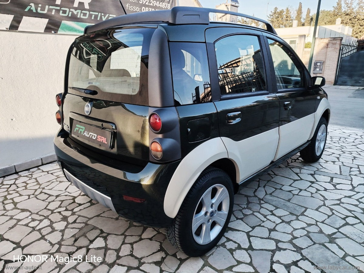 Fiat Panda 1.3 MJT 16V 4x4 Monster (6)