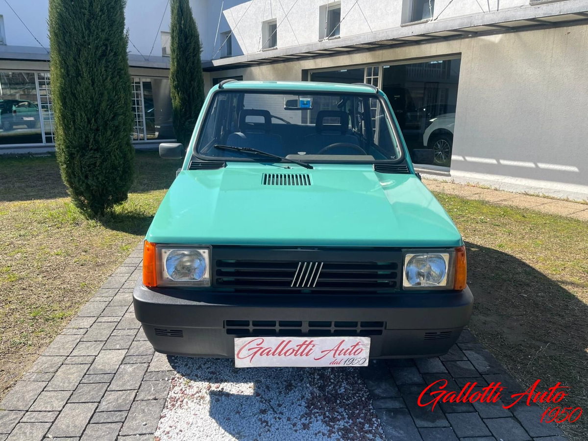 Fiat Panda 1100 i.e. cat Young (2)
