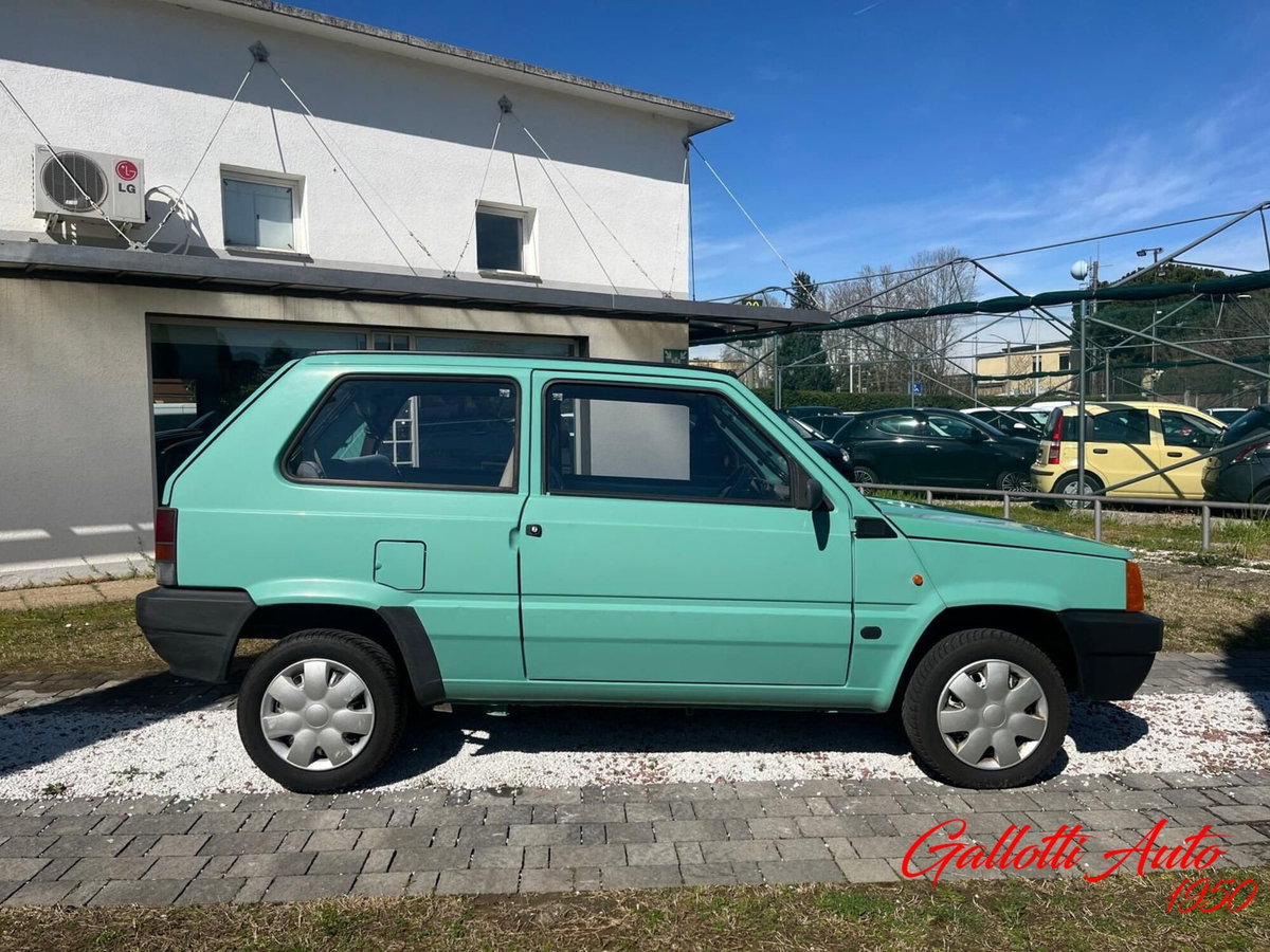 Fiat Panda 1100 i.e. cat Young (3)